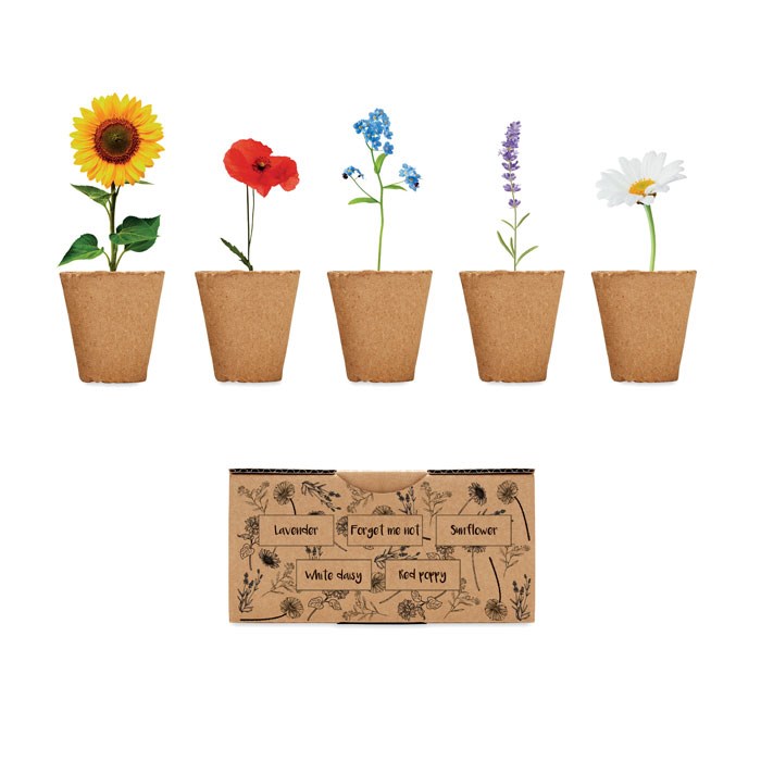 FLOWERS - Saat-Set Sommerblumen
